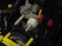 dino7_mvc-473f.jpg