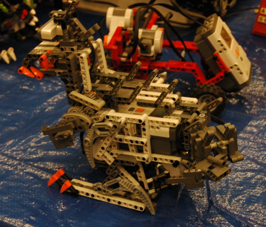 dsc_1681-nxt-dino.jpg