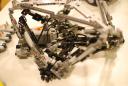 technic-dsc_4751.jpg