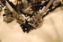 technic-dsc_4781.jpg