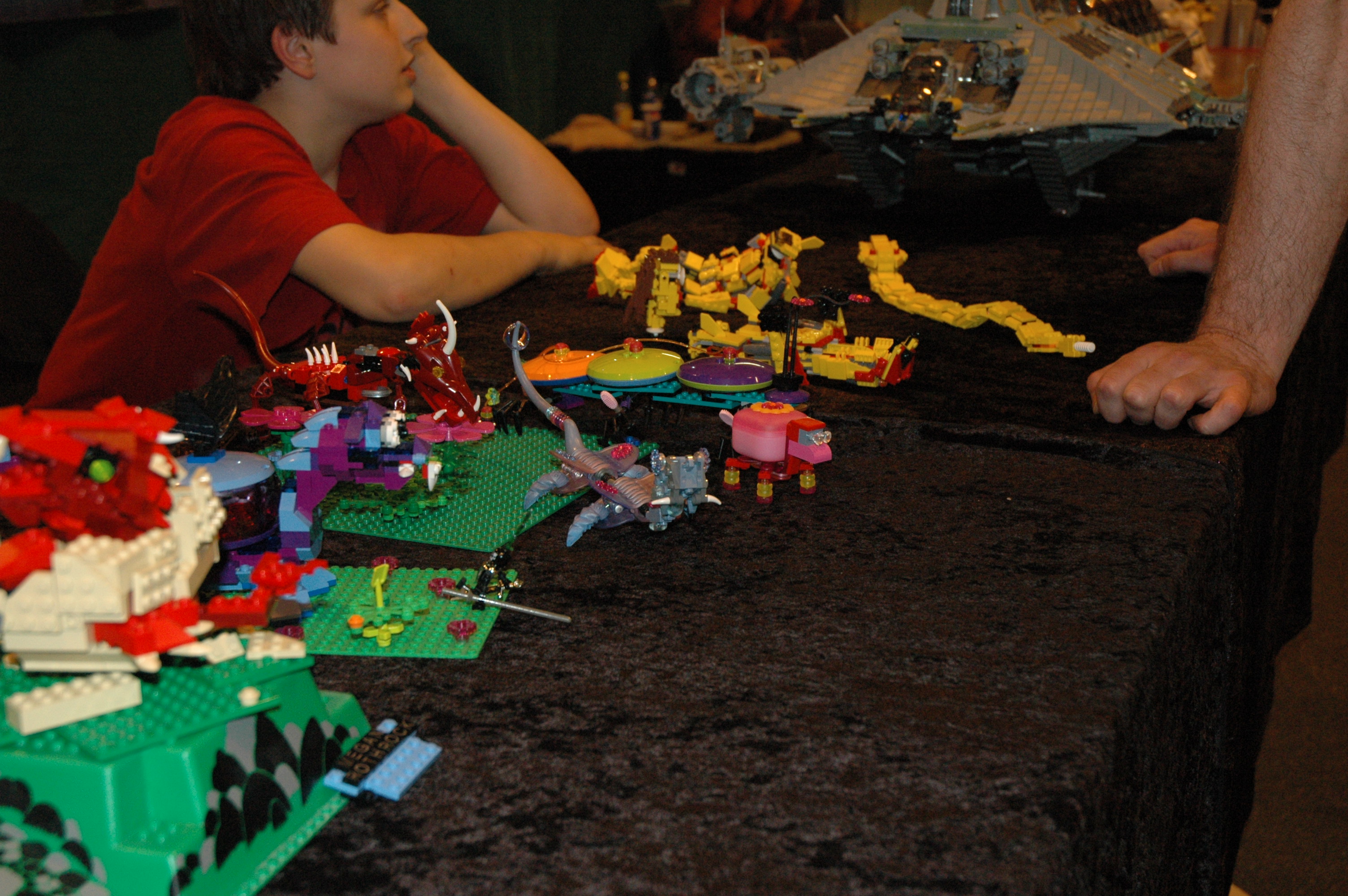 dsc_8317.jpg