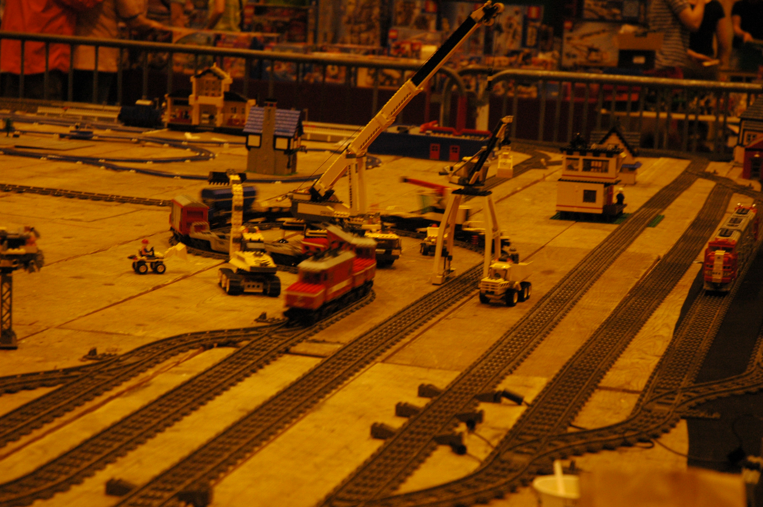 dsc_8341.jpg