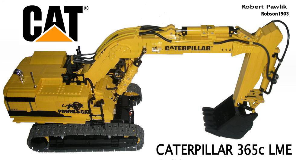 cat365.jpg
