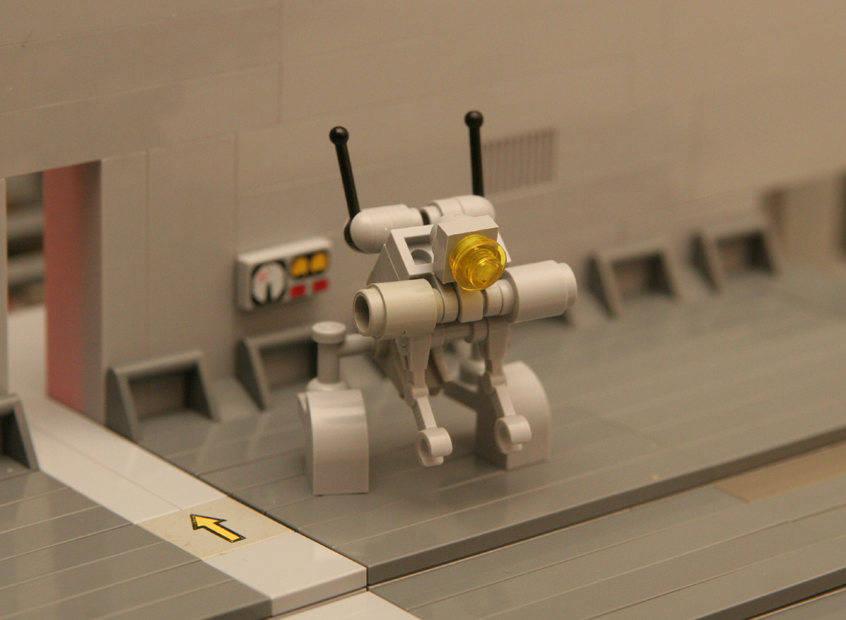 xk43-jackrabit-1.jpg