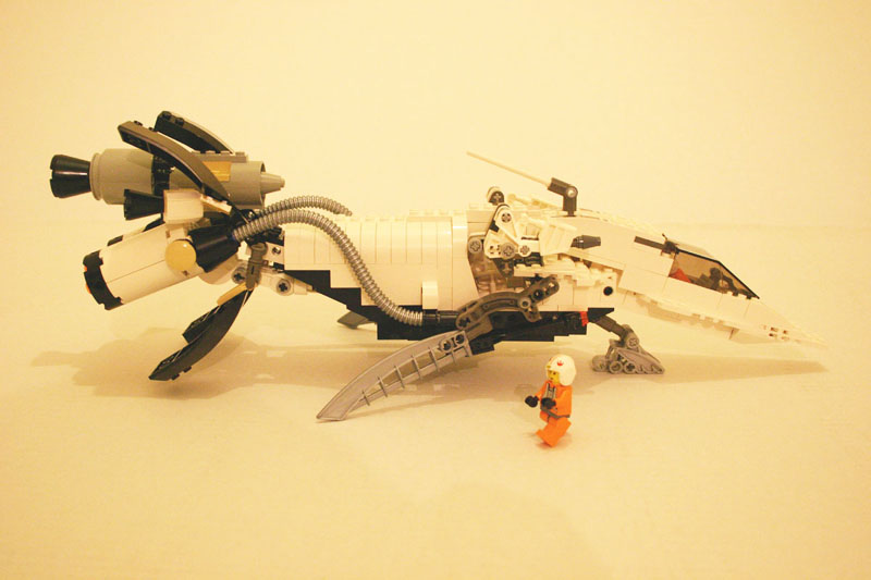 pic2-sml.jpg