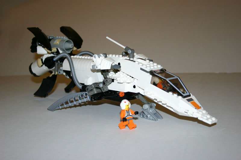 pic5-sml.jpg