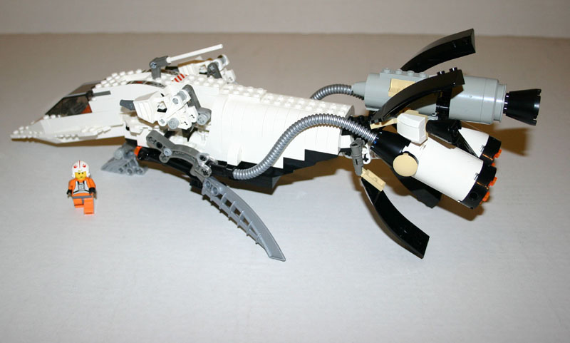 pic6-sml.jpg
