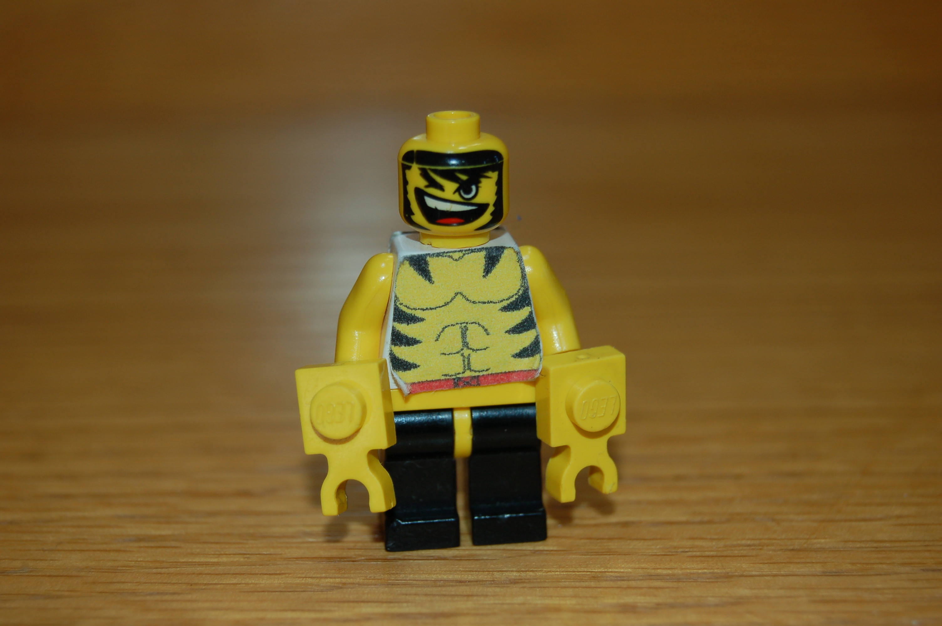 lego_pics_006.jpg
