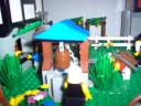imagem_003.jpg