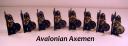 Avalonian-Troops