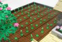 spring_6.jpg