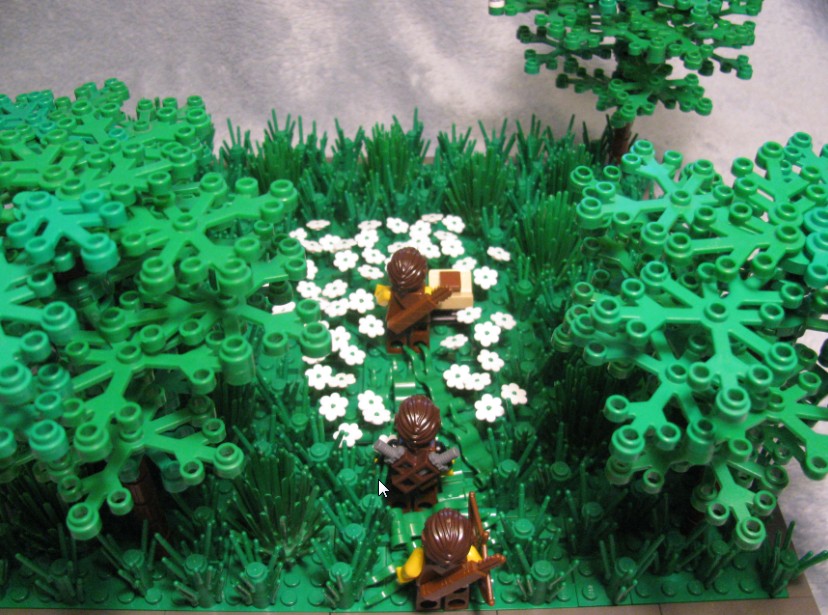 plant_oak_4_-_lr.jpg