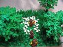 plant_oak_4_-_lr.jpg