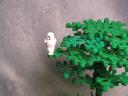 planting_of_the_great_oak_2.jpg