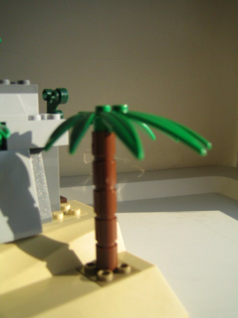 img_6834.jpg