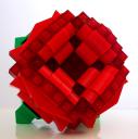rose_09_17_2004.jpg