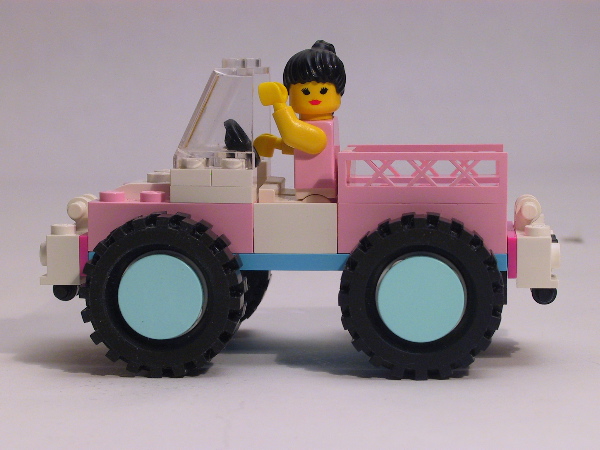 pinkchick2.jpg