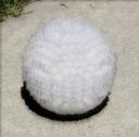 clearsphere03.jpg