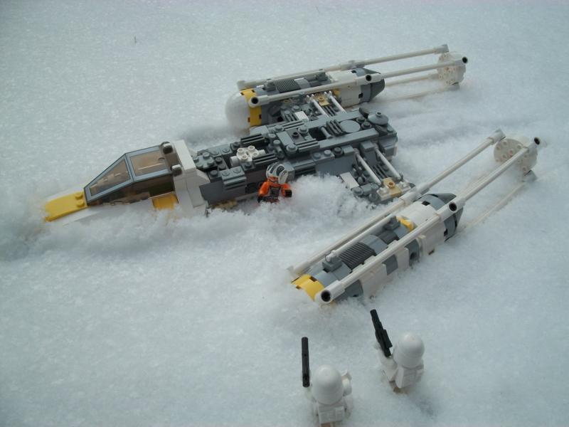 snowwing3.jpg