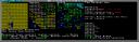 DwarfFortress
