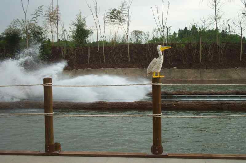 dcp_3254.jpg