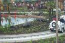 dcp_3213.jpg