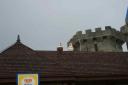 dcp_3295.jpg