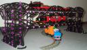 dcp_0348.jpg