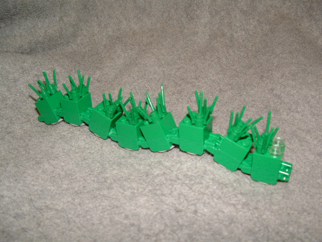 caterpiller.jpg