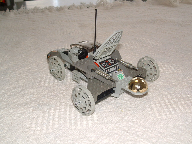 moth4.jpg