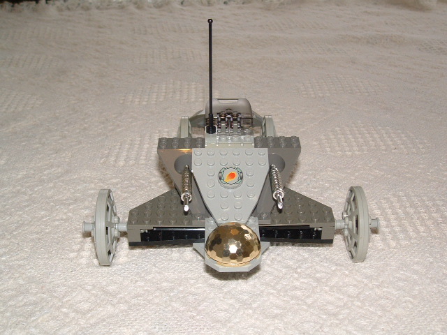 moth5.jpg