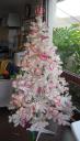 whitetree1.jpg