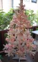 whitetree2.jpg