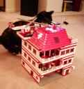 catzilla.jpg