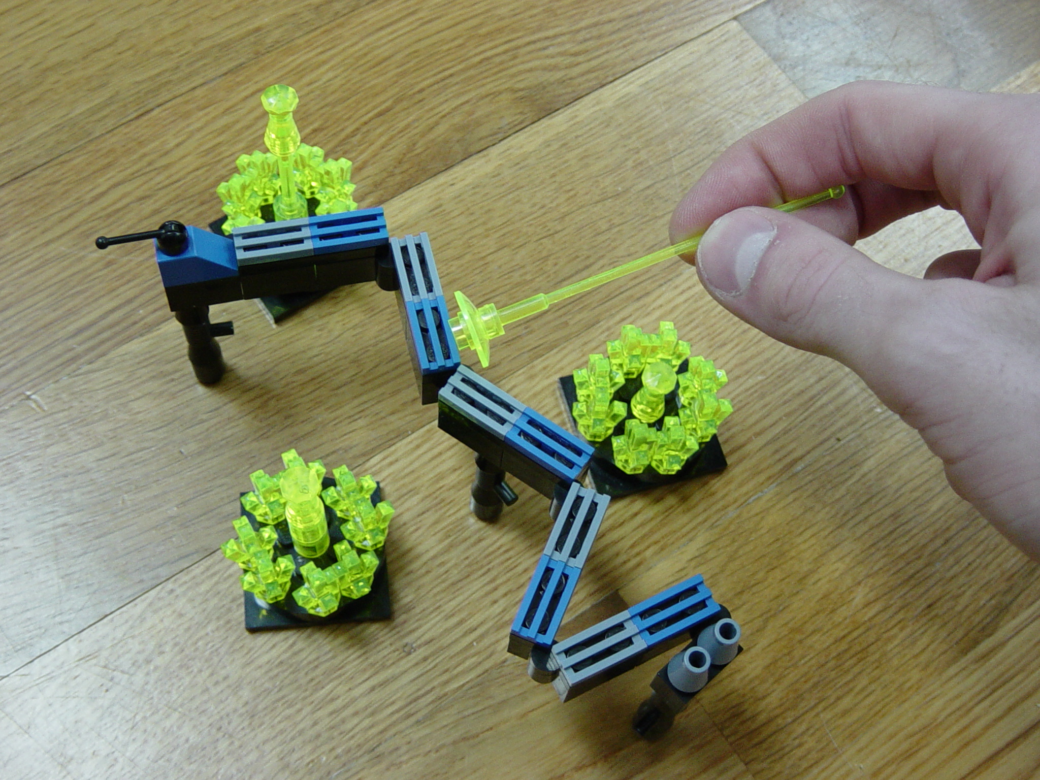 catipillar-2.jpg
