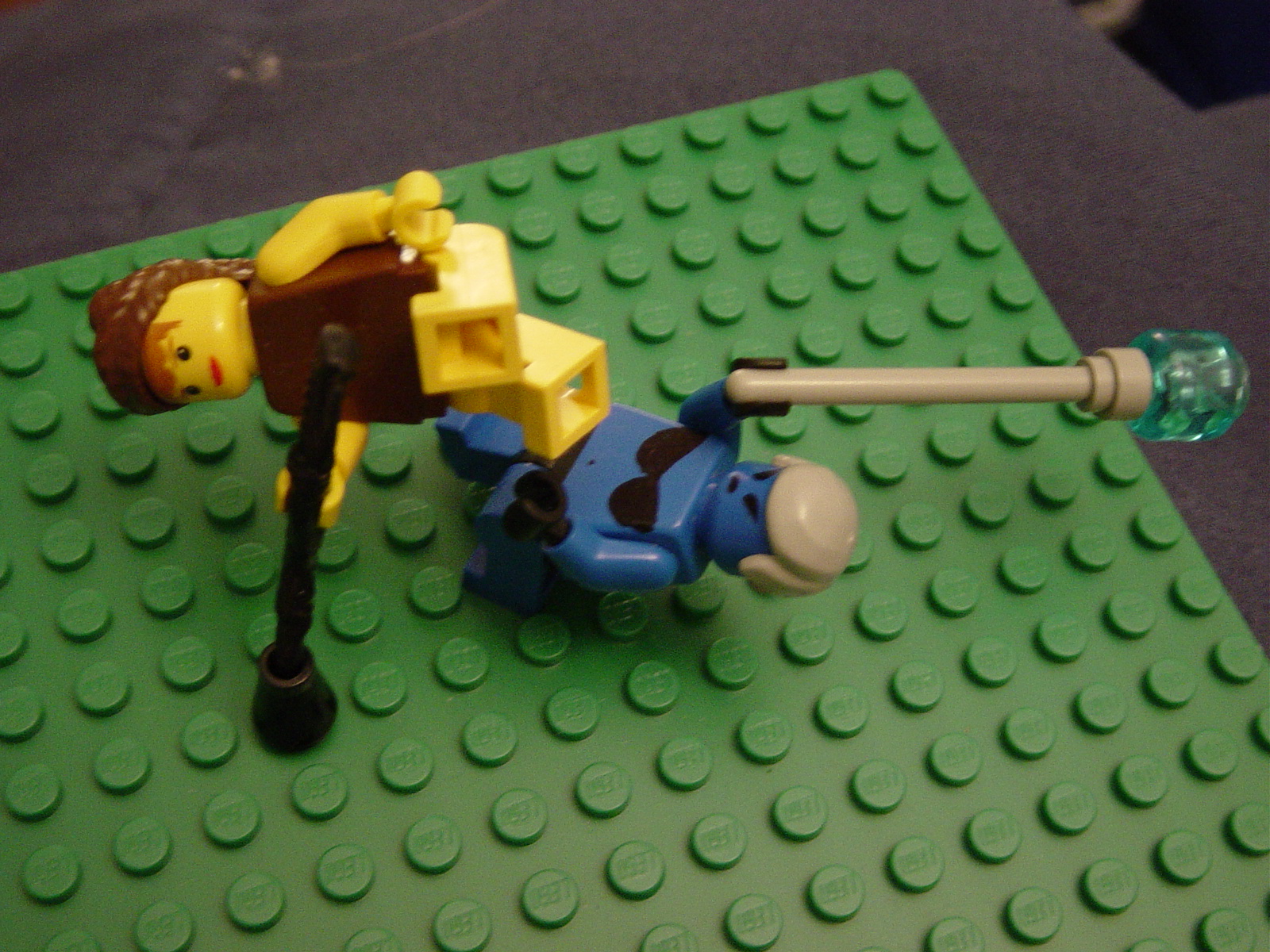 cat-fight.jpg