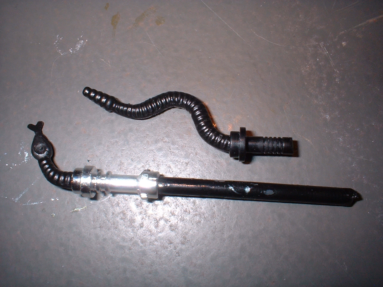 cutsnake.jpg