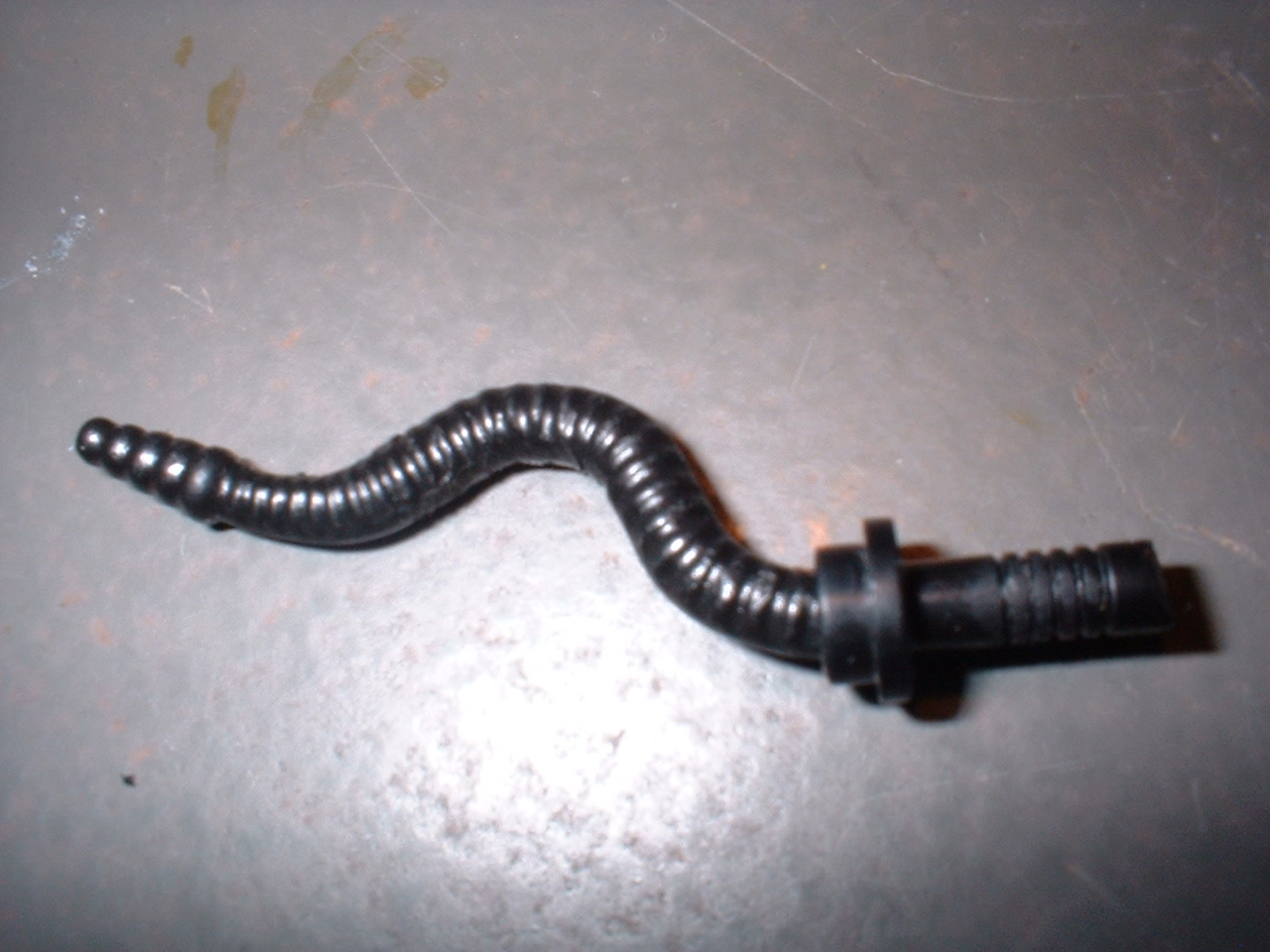cutsnakewhip.jpg