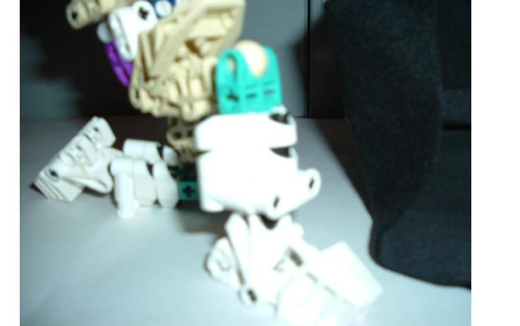 lucha_6.jpg