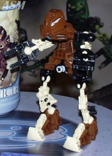 asm_bio_pohatu.jpg