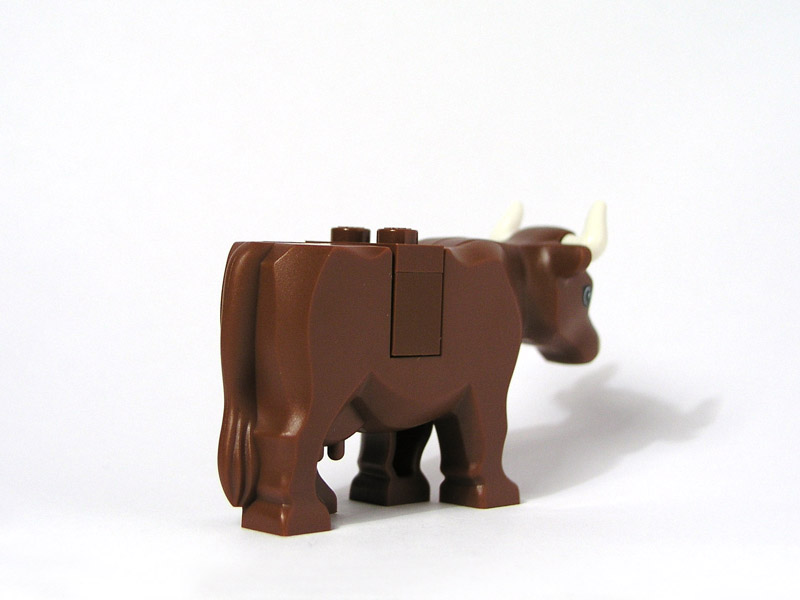 cow_03.jpg