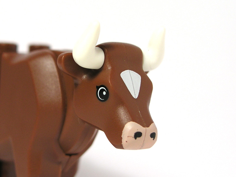 cow_04.jpg