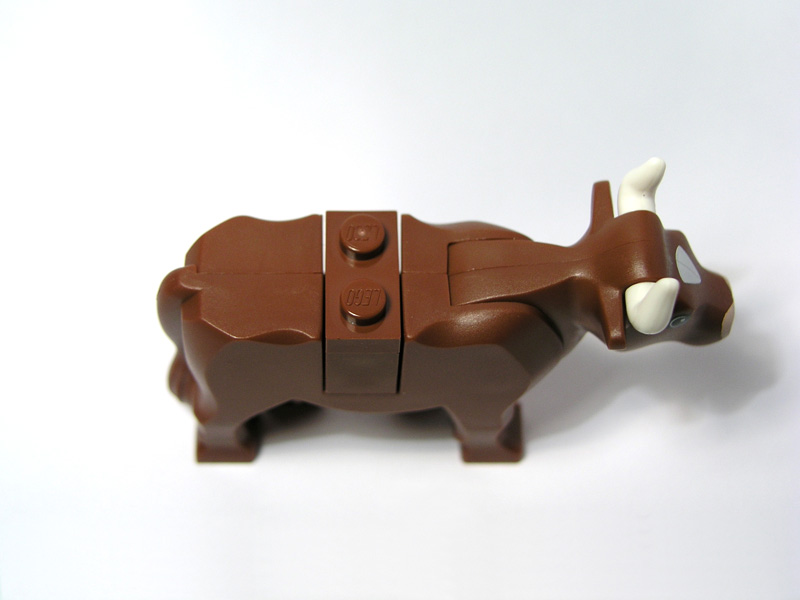 cow_05.jpg