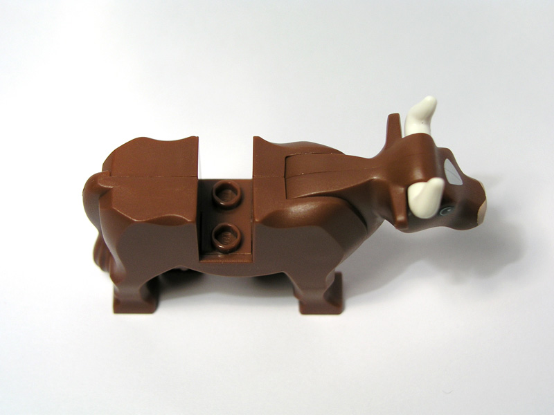 cow_06.jpg