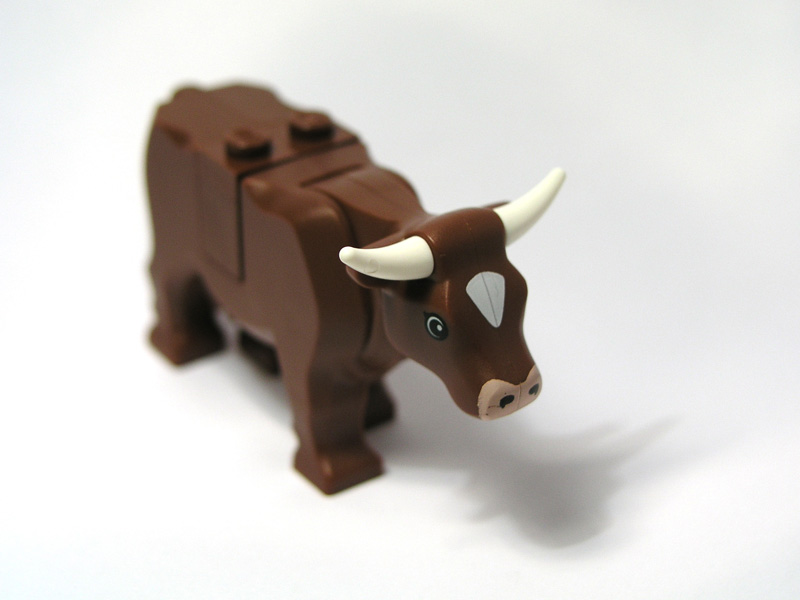 cow_09.jpg