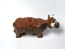 cow_05.jpg