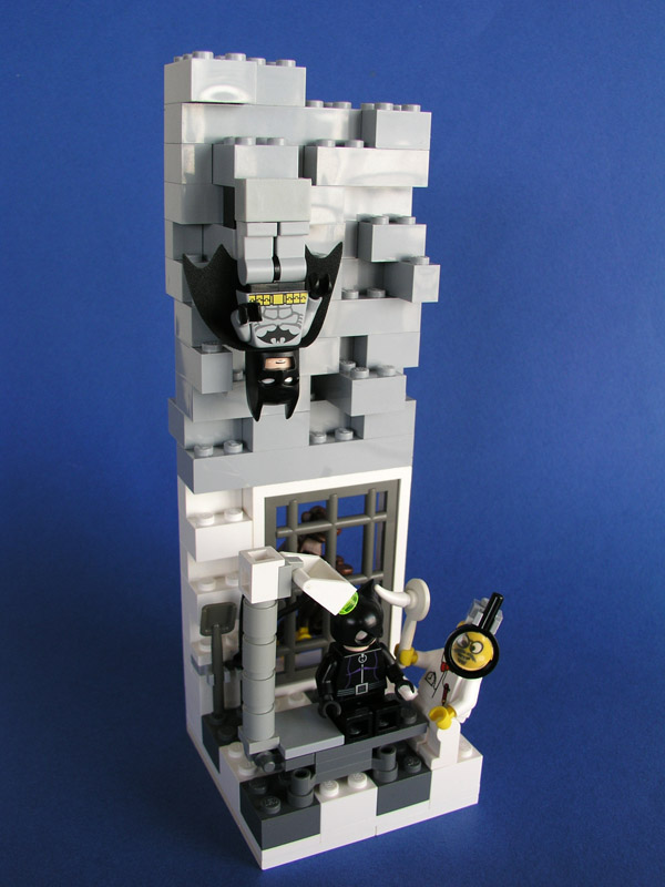 catwoman_vet_01.jpg
