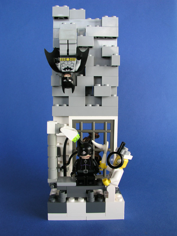 catwoman_vet_02.jpg