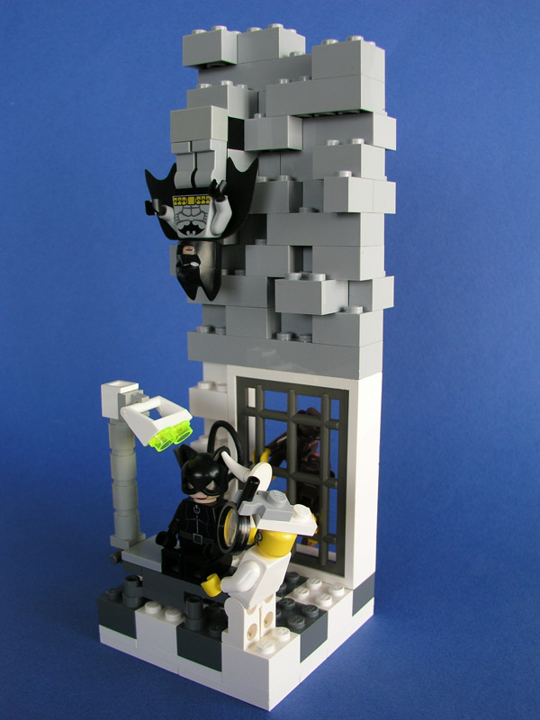 catwoman_vet_03.jpg
