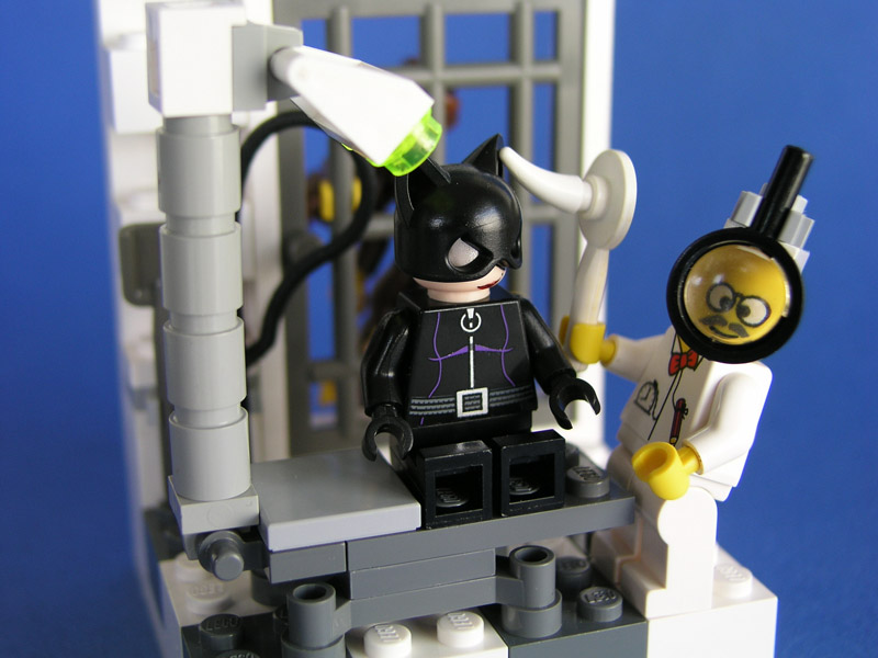 catwoman_vet_05.jpg